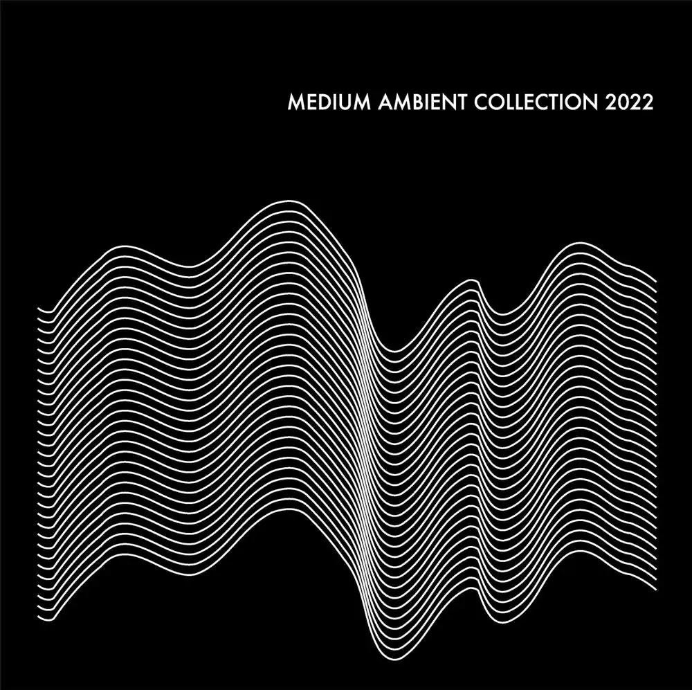 Medium Ambient Collection 2022 Black |