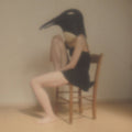 Penguin Cafe Orchestra-Tribute- |