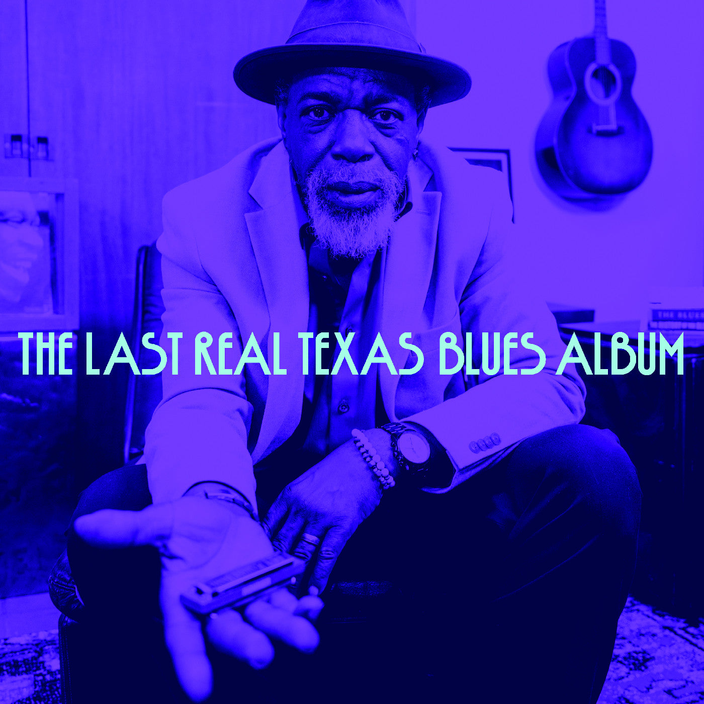 The Last Real Texas Blues Album (CD) | Mint (M) Mint (M)