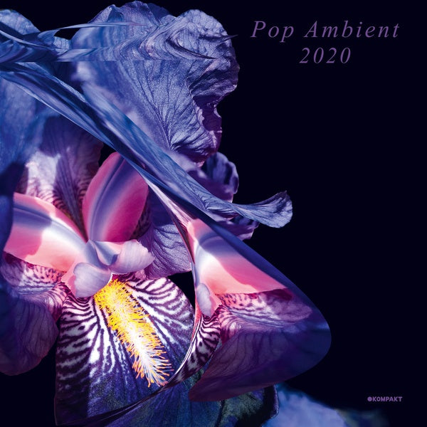 Pop Ambient 2020 |