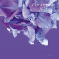 Pop Ambient 2025 |