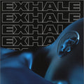 Exhale VA001 (Part 2) | Mint (M) Mint (M)