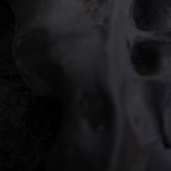 Evolve |