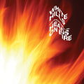 The Revenge of Heads on Fire (Midnight Black Vinyl) |