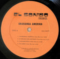 George Maysonet and Charanga America (VINYL) | Very Good Plus (VG+) Poor (P)