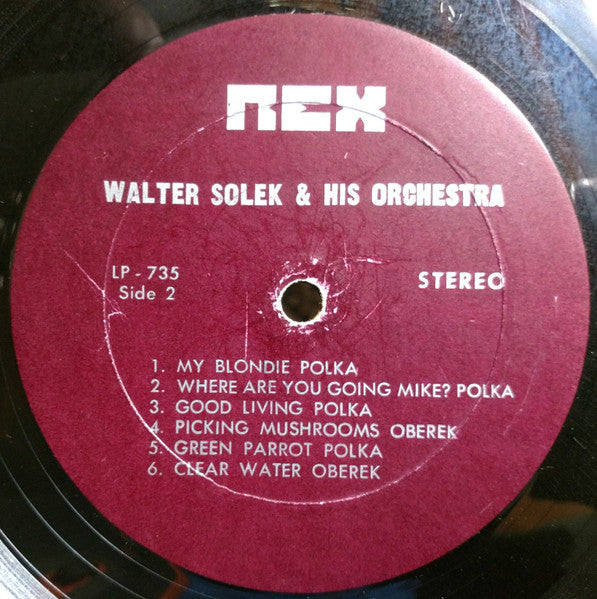 Walter Solek - Walt Solek Sings | Very Good Plus (VG+) Near Mint (NM)