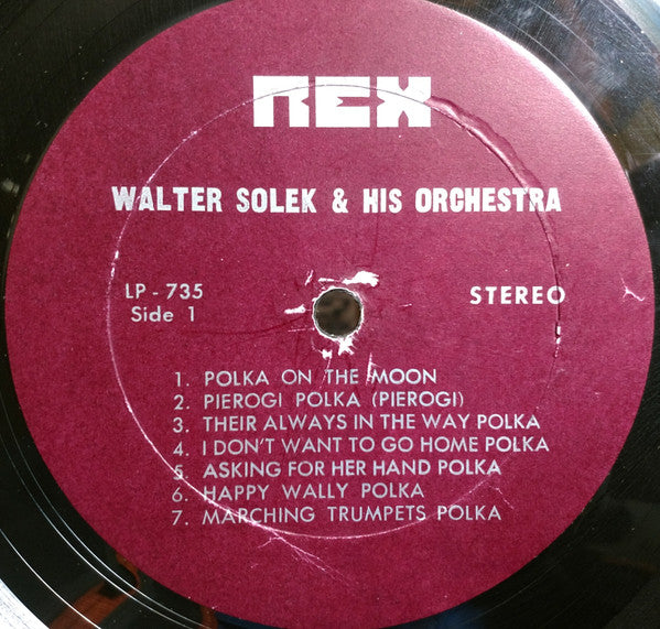 Walter Solek - Walt Solek Sings | Very Good Plus (VG+) Near Mint (NM)