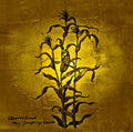 The Laughing Stalk |