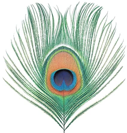 Xtc - Apple Venus Vol. 1 (200g Vinyl Import) | Mint (M) Mint (M)