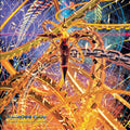 Macross Plus- Deluxe Edition |