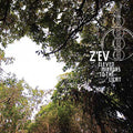 Eleven Mirrors to the Light |