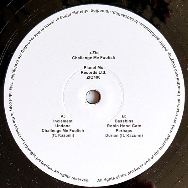 Challenge Me Foolish (2xVINYL) | Mint (M) Mint (M)